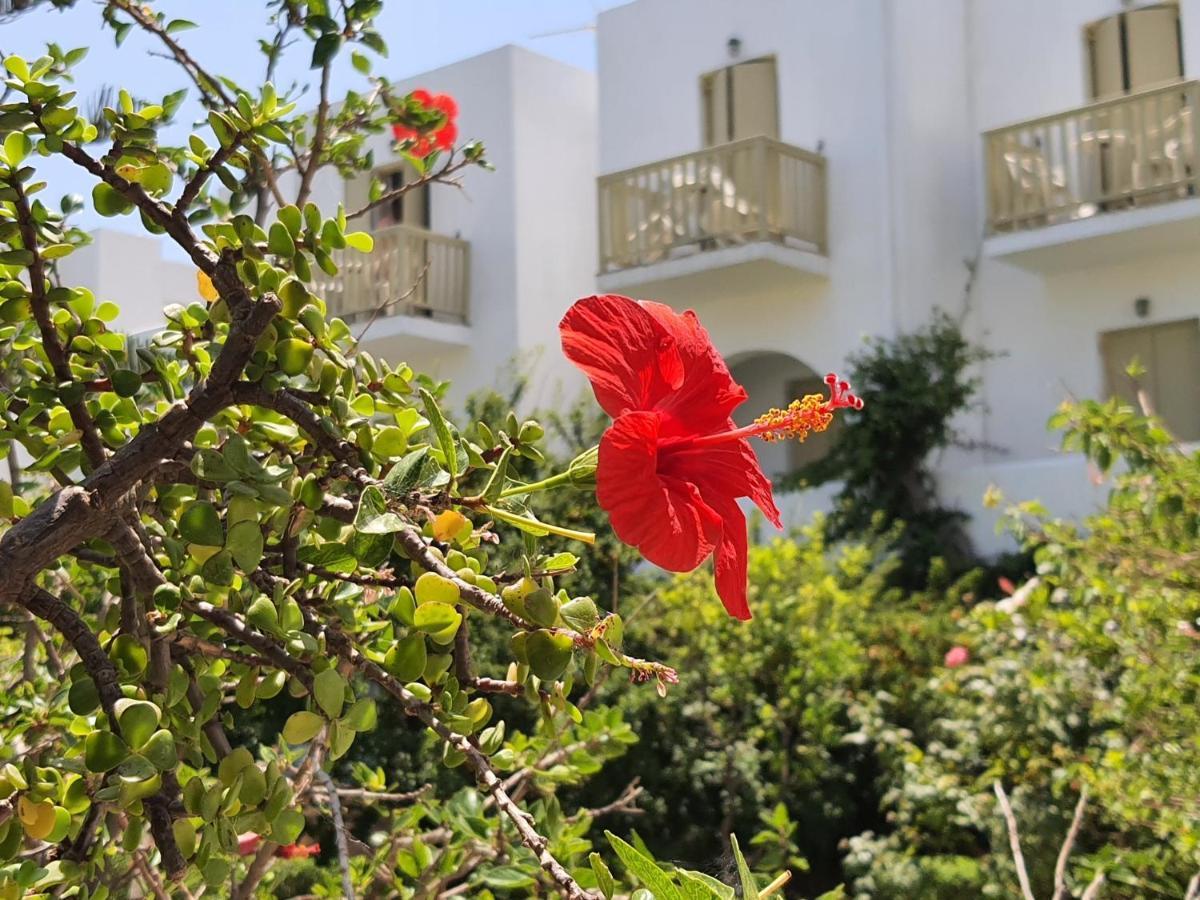Vidalis Hotel Kionia Exterior photo