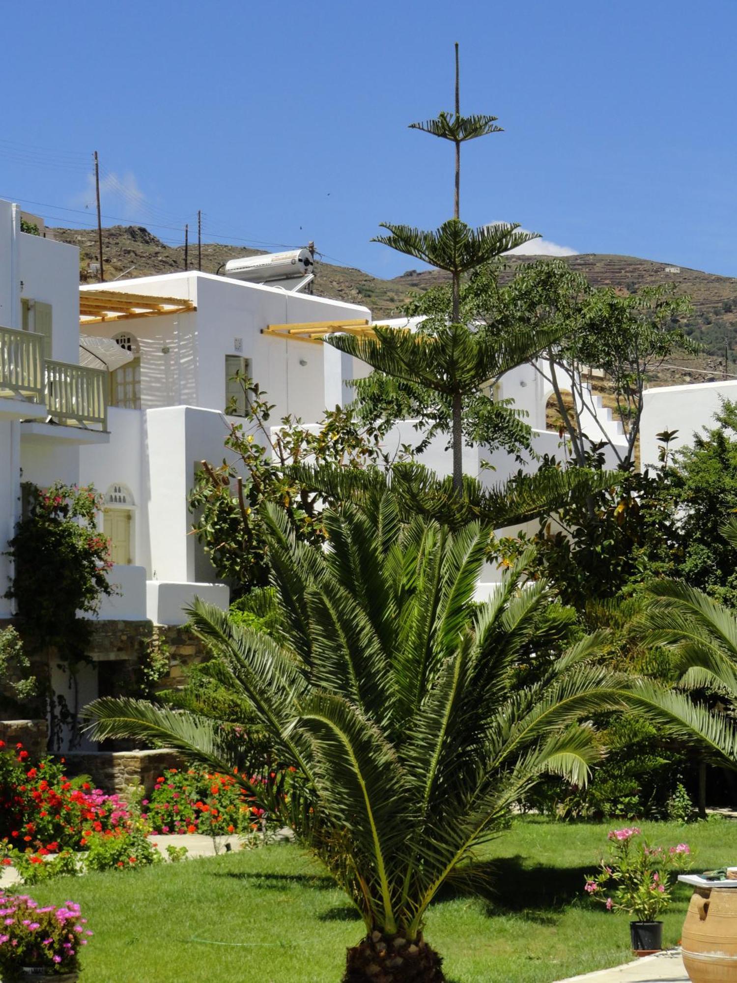 Vidalis Hotel Kionia Exterior photo